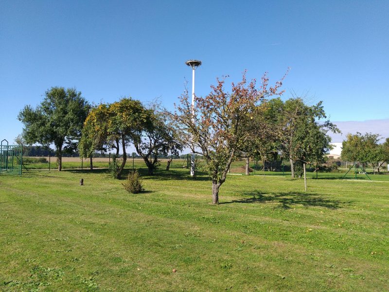 lS